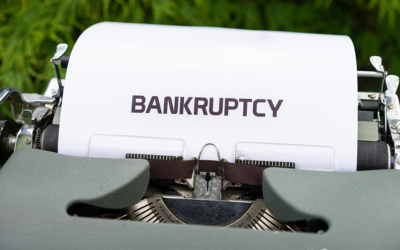 Bankruptcy Overview